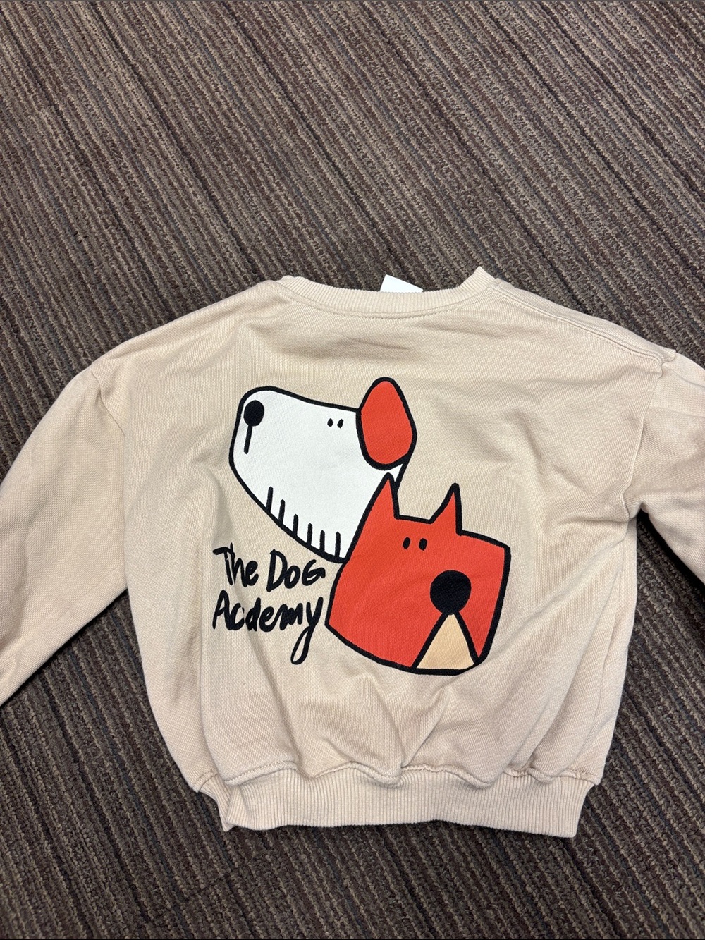 Beige Sweatshirt ZARA 4T NWOT the dog academy